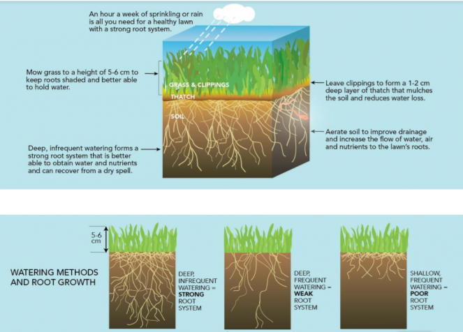 Water Saving Tips Resort Municipality of Whistler