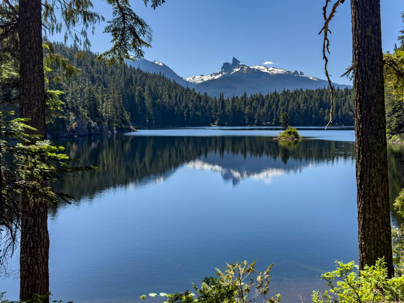 Mapping Whistler’s most sensitive ecosystems, 2025 capital projects